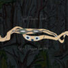 <span class="hide-the-artist">Animal Collective<br></span>Spirit They're Gone Spirit They've Vanished
