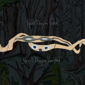 <span class="hide-the-artist">Animal Collective<br></span>Spirit They're Gone Spirit They've Vanished