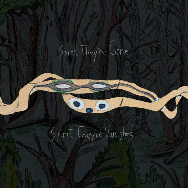 <span class="hide-the-artist">Animal Collective<br></span>Spirit They're Gone Spirit They've Vanished