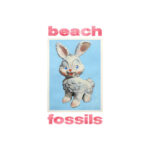 <span class="hide-the-artist">Beach Fossils<br></span>Bunny
