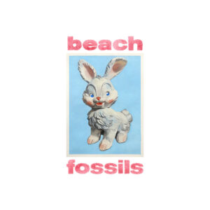 <span class="hide-the-artist">Beach Fossils<br></span>Bunny