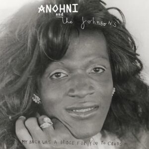 <span class="hide-the-artist">Anohni And The Johnsons<br></span>My Back Was A Bridge For You To Cross