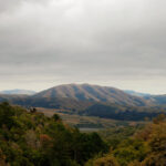 <span class="hide-the-artist">BjÃ¶rk - Dirty Projectors<br></span>Mount Wittenberg Orca