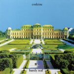 <span class="hide-the-artist">Codeine<br></span>Barely Real