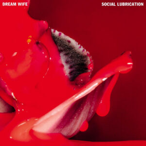 <span class="hide-the-artist">Dream Wife<br></span>Social Lubrication
