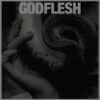 <span class="hide-the-artist">Godflesh<br></span>Purge