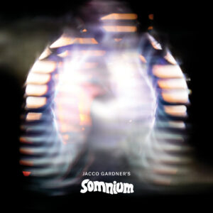 <span class="hide-the-artist">Jacco Gardner<br></span>Somnium