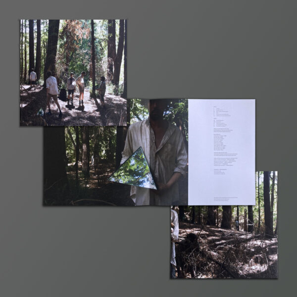 <span class="hide-the-artist">Liars<br></span>Sisterworld