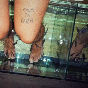<span class="hide-the-artist">The Murlocs<br></span>Calm Ya Farm