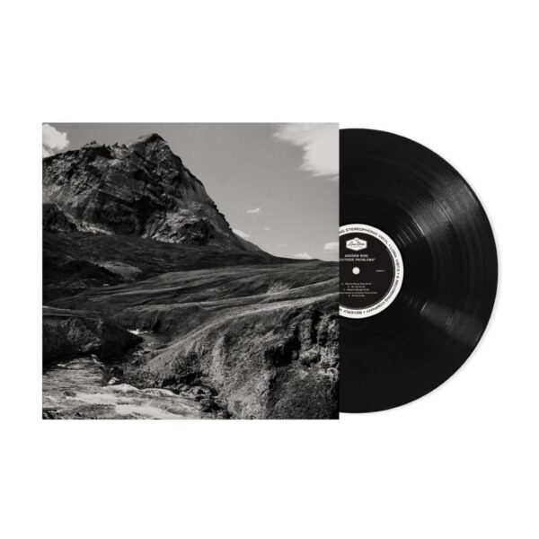 <span class="hide-the-artist">Andrew Bird<br></span>Outside Problems