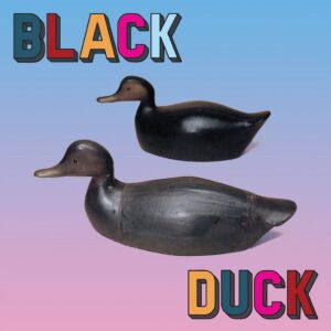 <span class="hide-the-artist">Black Duck<br></span>Black Duck