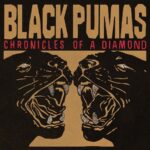 <span class="hide-the-artist">Black Pumas<br></span>Chronicles Of A Diamond