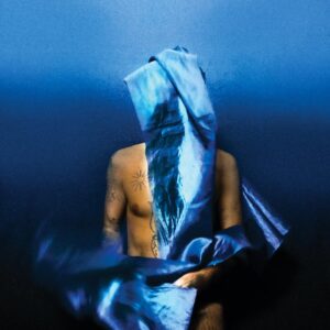 <span class="hide-the-artist">Devendra Banhart<br></span>Flying Wig