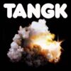 <span class="hide-the-artist">Idles<br></span>TANGK (Pink)