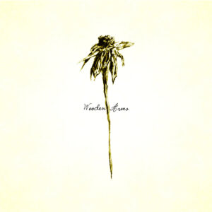 <span class="hide-the-artist">Patrick Watson<br></span>Wooden Arms