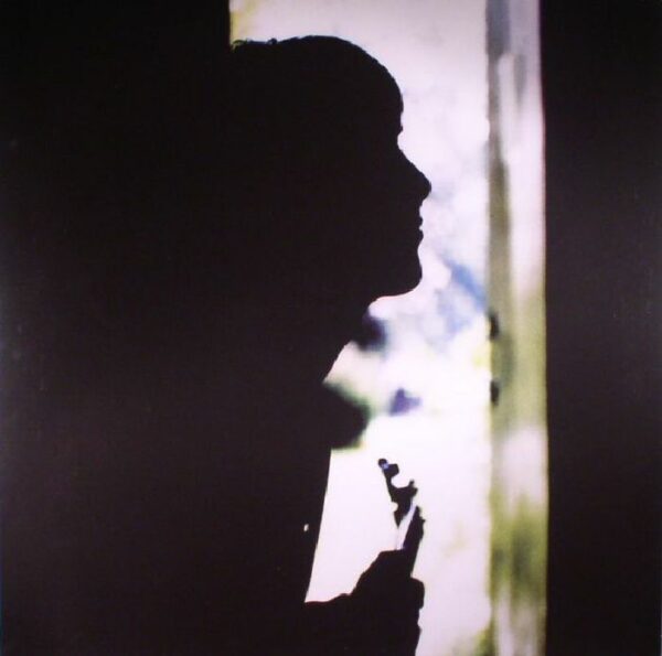 <span class="hide-the-artist">Paul Weller<br></span>Wild Wood