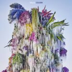 <span class="hide-the-artist">Wilco<br></span>Cousin
