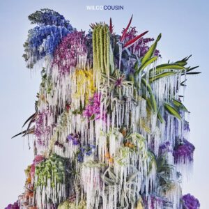 <span class="hide-the-artist">Wilco<br></span>Cousin