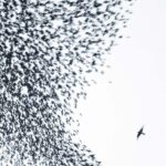 <span class="hide-the-artist">Wilco<br></span>Sky Blue Sky