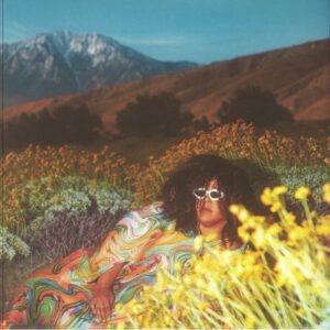 <span class="hide-the-artist">Brittany Howard<br></span>What Now