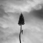 <span class="hide-the-artist">Manchester Orchestra<br></span>A Black Mile to the Surface