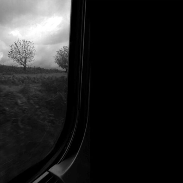 <span class="hide-the-artist">Paolo Spaccamonti<br></span>Nel Torbido