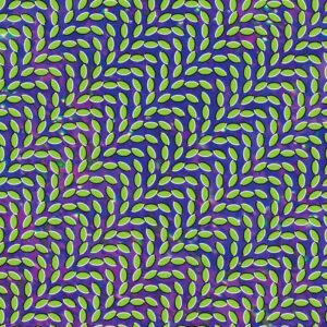 <span class="hide-the-artist">Animal Collective<br></span>Merriweather Post Pavilion
