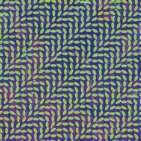 <span class="hide-the-artist">Animal Collective<br></span>Merriweather Post Pavilion