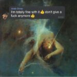 <span class="hide-the-artist">Arab Strap<br></span>I'm Totally Fine With It Don't Give A Fuck Anymore