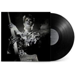 <span class="hide-the-artist">David Bowie<br></span>Rock 'N' Roll Star!