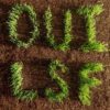 <span class="hide-the-artist">Les Savy Fav<br></span>OUI, LSF