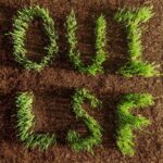 <span class="hide-the-artist">Les Savy Fav<br></span>OUI, LSF