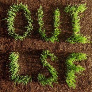 <span class="hide-the-artist">Les Savy Fav<br></span>OUI, LSF