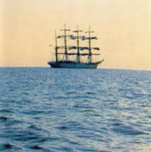 <span class="hide-the-artist">Smog<br></span>The Doctor Came At Dawn