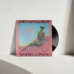 <span class="hide-the-artist">Dearthworms<br></span>Sapsucker
