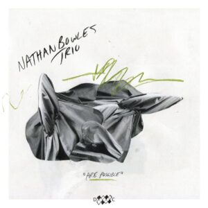 <span class="hide-the-artist">Nathan Bowles Trio<br></span>Are Possible