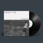 <span class="hide-the-artist">Cass McCombs<br></span>Seed Cake On Leap Year