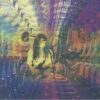 <span class="hide-the-artist">Death Valley Girls<br></span>Levitation Sessions