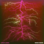 <span class="hide-the-artist">Leifur James<br></span>Magic Seeds