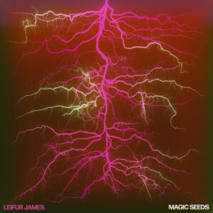 <span class="hide-the-artist">Leifur James<br></span>Magic Seeds