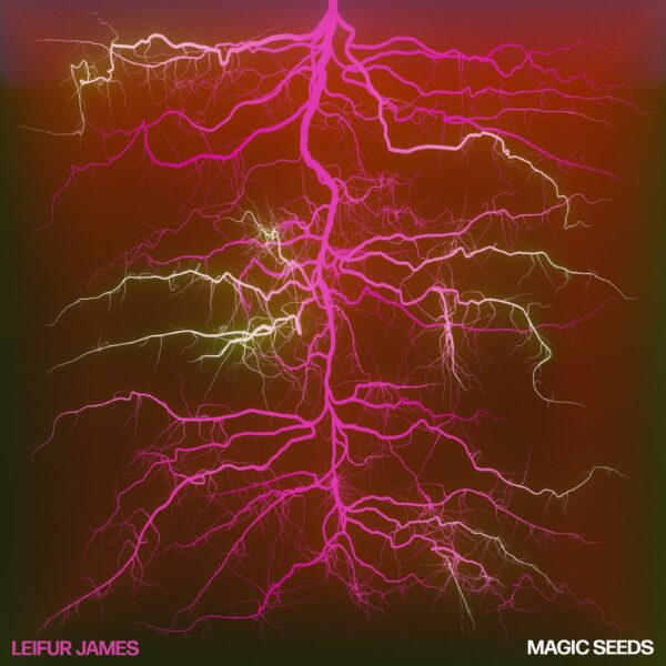 <span class="hide-the-artist">Leifur James<br></span>Magic Seeds