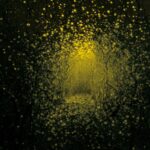 <span class="hide-the-artist">The Antlers<br></span>Burst Apart