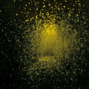 <span class="hide-the-artist">The Antlers<br></span>Burst Apart