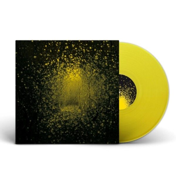 <span class="hide-the-artist">The Antlers<br></span>Burst Apart