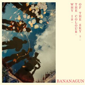 <span class="hide-the-artist">Bananagun<br></span>Why Is The Colour Of The Sky?