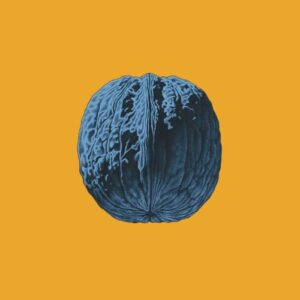 <span class="hide-the-artist">Brunori Sas<br></span>L'Albero Delle Noci