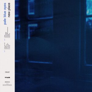 <span class="hide-the-artist">Pale Blue Eyes<br></span>New Place