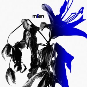 <span class="hide-the-artist">Mien<br></span>Miien