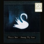 <span class="hide-the-artist">Mazzy Star<br></span>Among My Swan