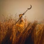 <span class="hide-the-artist">Patrick Wolf<br></span>Crying The Neck